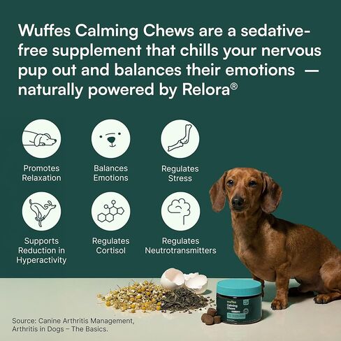مضغ ناعم مهدئ للكلاب من Wuffes، مكمل لدعم الإجهاد مع Relora®، L-Theanine، L-Tryptophan والبابونج، تخفيف مهدئ لا يسبب النعاس لجميع الكلاب، 60 مضغًا ناعمًا in Kuwait