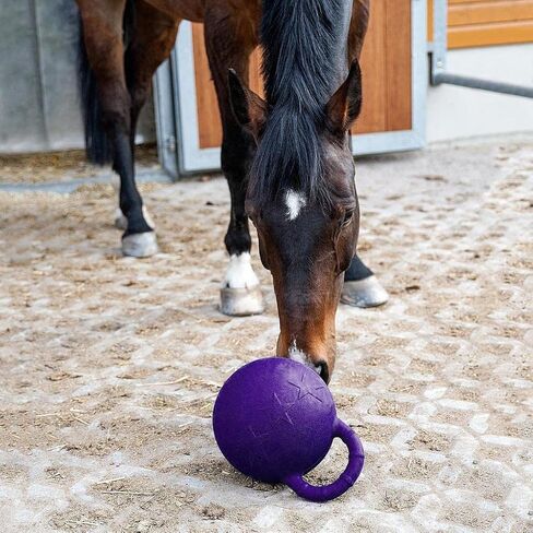 Game Ball Pet Horse Stable and Yard Toy, 28cm Pink in Saudi Arabia