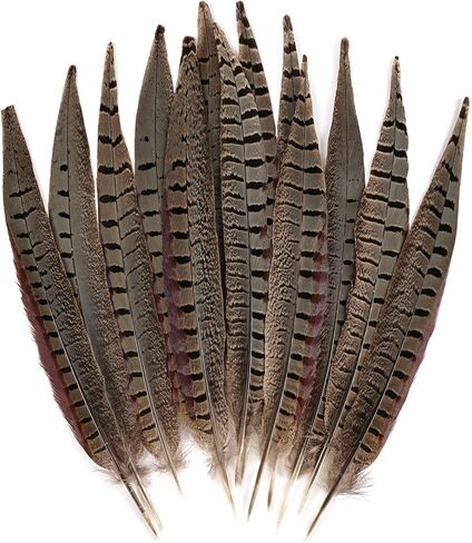 12pcs Natural Feathers Male Ringneck Pheasant Tails Feathers 10-12inch 25-30cm for Crafts Wedding Party Performance Home DIY Decoration,Male Pheasant Feathers in Saudi Arabia