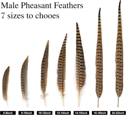 12pcs Natural Feathers Male Ringneck Pheasant Tails Feathers 10-12inch 25-30cm for Crafts Wedding Party Performance Home DIY Decoration,Male Pheasant Feathers in Saudi Arabia