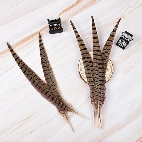12pcs Natural Feathers Male Ringneck Pheasant Tails Feathers 10-12inch 25-30cm for Crafts Wedding Party Performance Home DIY Decoration,Male Pheasant Feathers in Saudi Arabia