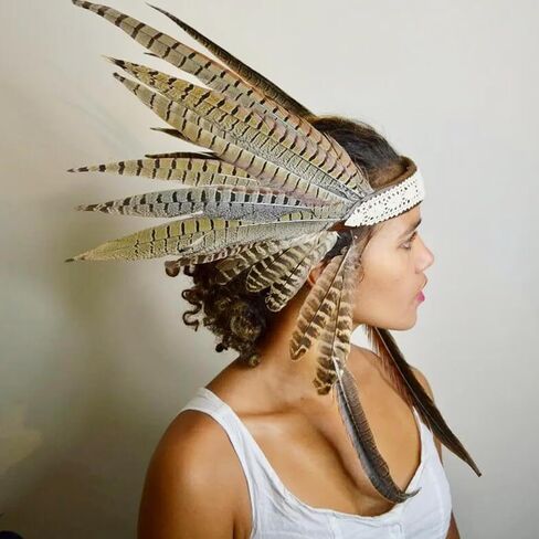 12pcs Natural Feathers Male Ringneck Pheasant Tails Feathers 10-12inch 25-30cm for Crafts Wedding Party Performance Home DIY Decoration,Male Pheasant Feathers in Saudi Arabia