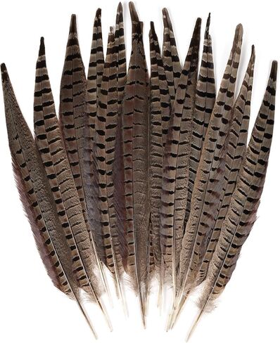 12pcs Natural Feathers Male Ringneck Pheasant Tails Feathers 10-12inch 25-30cm for Crafts Wedding Party Performance Home DIY Decoration,Male Pheasant Feathers in Saudi Arabia
