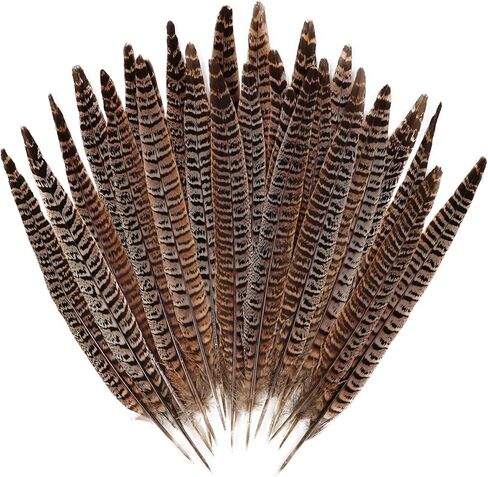 12pcs Natural Feathers Male Ringneck Pheasant Tails Feathers 10-12inch 25-30cm for Crafts Wedding Party Performance Home DIY Decoration,Male Pheasant Feathers in Saudi Arabia