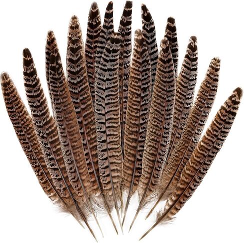 12pcs Natural Feathers Male Ringneck Pheasant Tails Feathers 10-12inch 25-30cm for Crafts Wedding Party Performance Home DIY Decoration,Male Pheasant Feathers in Saudi Arabia