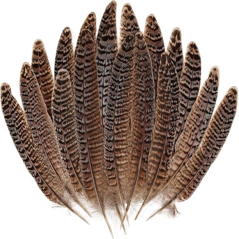 12pcs Natural Feathers Male Ringneck Pheasant Tails Feathers 10-12inch 25-30cm for Crafts Wedding Party Performance Home DIY Decoration,Male Pheasant Feathers in Kuwait