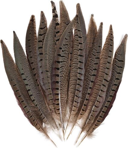 12pcs Natural Feathers Male Ringneck Pheasant Tails Feathers 10-12inch 25-30cm for Crafts Wedding Party Performance Home DIY Decoration,Male Pheasant Feathers in Saudi Arabia