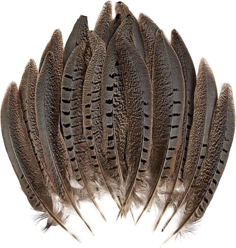 12pcs Natural Feathers Male Ringneck Pheasant Tails Feathers 10-12inch 25-30cm for Crafts Wedding Party Performance Home DIY Decoration,Male Pheasant Feathers in Saudi Arabia