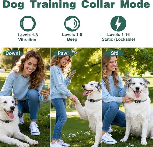 4-in-1 Wireless Dog Fence System Electric Dog Fence with Training Collar & Anti-Bark Collar, Real-Time Pet Status Display, Portable Waterproof Outdoor Pet Containment System in Kuwait