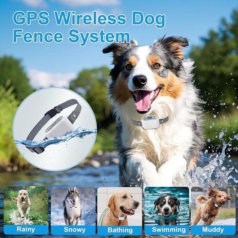 نظام سياج الكلاب اللاسلكي GPS مع التحكم في التطبيق - بدون اشتراك ولا سلك، يصل إلى 984 قدمًا IPX7 طوق احتواء الحيوانات الأليفة الكهربائي المقاوم للماء مع صوت تنبيه/اهتزاز/صدمة، يدعم ما يصل إلى 5 كلاب (أبيض) in Kuwait