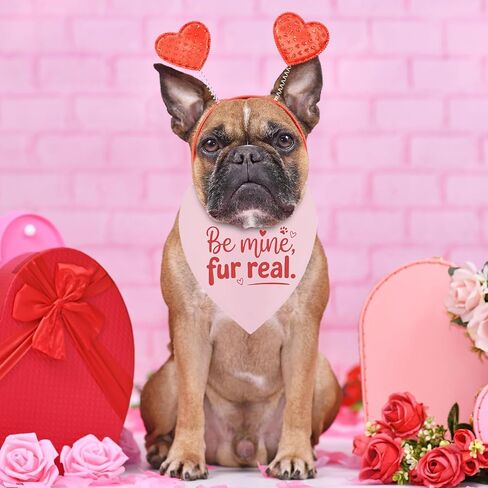 عيد الحب الكلب باندانا، لطيف يكون الألغام الحيوانات الأليفة الحب وشاح للكلاب المتوسطة الكبيرة، قلوب الوردي عصابات مضحك صور الدعامة الهدايا لمحبي أصحاب الكلاب in Kuwait