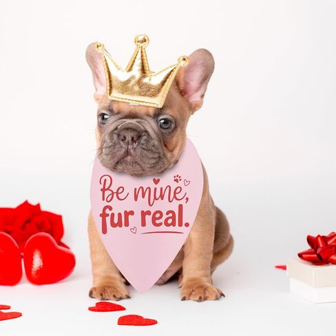 عيد الحب الكلب باندانا، لطيف يكون الألغام الحيوانات الأليفة الحب وشاح للكلاب المتوسطة الكبيرة، قلوب الوردي عصابات مضحك صور الدعامة الهدايا لمحبي أصحاب الكلاب in Kuwait