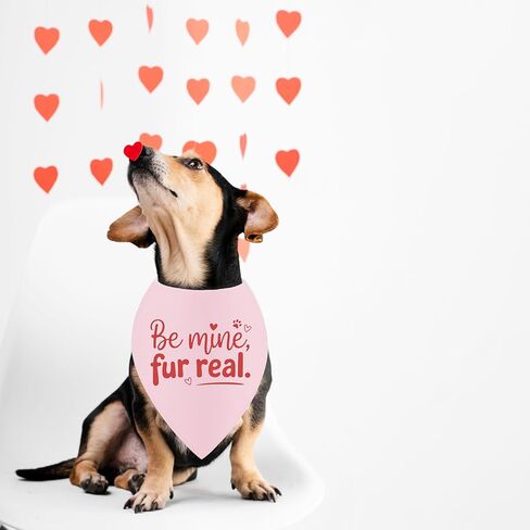 عيد الحب الكلب باندانا، لطيف يكون الألغام الحيوانات الأليفة الحب وشاح للكلاب المتوسطة الكبيرة، قلوب الوردي عصابات مضحك صور الدعامة الهدايا لمحبي أصحاب الكلاب in Kuwait