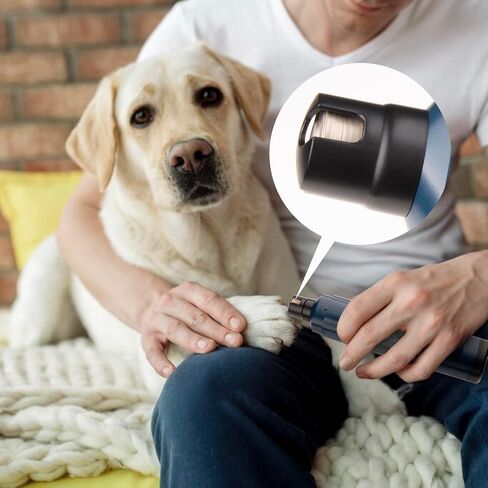 Pet Nail Grinder for Dogs - Quiet 2-Speed Type-C Rechargeable Dog Nail Trimmer, Low Noise Paw Grooming for Dogs & Cats (Blue) in Saudi Arabia
