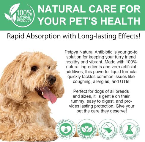 Antibiotics for Dogs, 60ML Natural Antibiotics for Dogs, Dog Antibiotics, Dog Supplies Antibiotics, Dog Multivitamin for Pets, Natural Dog Antibiotics Supports Dog Allergy and Itch Relief in Saudi Arabia