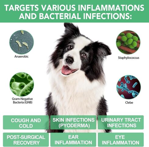 Antibiotics for Dogs, 60ML Natural Antibiotics for Dogs, Dog Antibiotics, Dog Supplies Antibiotics, Dog Multivitamin for Pets, Natural Dog Antibiotics Supports Dog Allergy and Itch Relief in Saudi Arabia