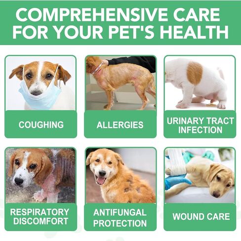 Antibiotics for Dogs, 60ML Natural Antibiotics for Dogs, Dog Antibiotics, Dog Supplies Antibiotics, Dog Multivitamin for Pets, Natural Dog Antibiotics Supports Dog Allergy and Itch Relief in Saudi Arabia