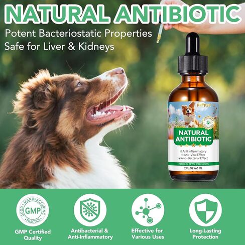 Antibiotics for Dogs, 60ML Natural Antibiotics for Dogs, Dog Antibiotics, Dog Supplies Antibiotics, Dog Multivitamin for Pets, Natural Dog Antibiotics Supports Dog Allergy and Itch Relief in Saudi Arabia
