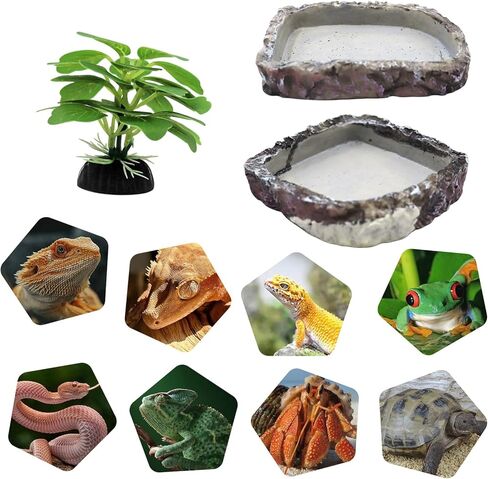 Bearded Dragon Accessories, 2 Pack Reptile Bowl for Feeding and 1 Artificial Plant Decor, Aquarium Habitat Decoration Set for Bearded Dragon, Gecko, Tortoise, Snake, Frog, Other Small Reptile in Saudi Arabia