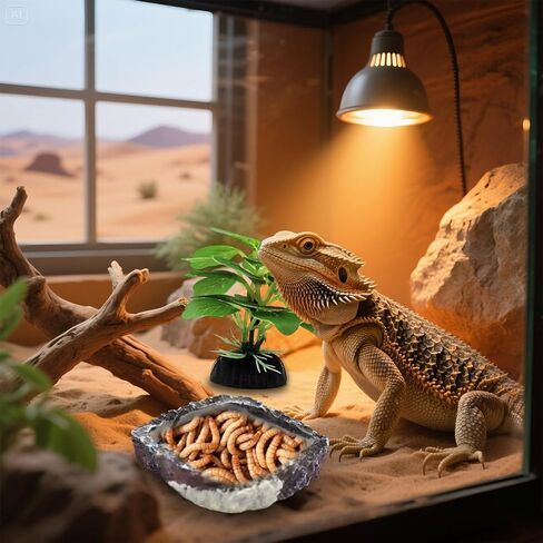 Bearded Dragon Accessories, 2 Pack Reptile Bowl for Feeding and 1 Artificial Plant Decor, Aquarium Habitat Decoration Set for Bearded Dragon, Gecko, Tortoise, Snake, Frog, Other Small Reptile in Saudi Arabia