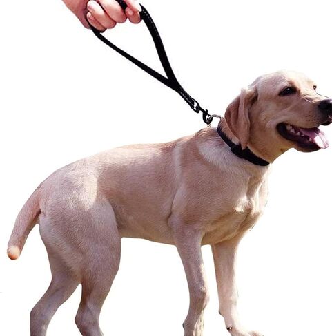 Short Dog Leash for Training, Heavy Duty Traffic Leashes for Safety Control Behavior Correction Hiking Backup for Large, Medium Dogs,Padded Handle,Black in Saudi Arabia