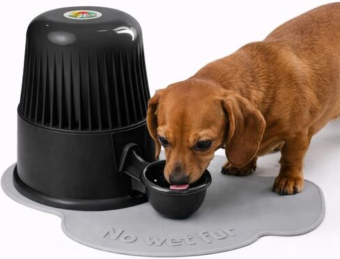 Pet Water Dispenser for Dogs and Cats, 67.6 oz – Gravity-Fed Water Bowl for Clean Drinking, Prevents Wet Fur, BPA-Free Polypropylene, (Clear) in Saudi Arabia
