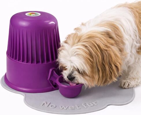 Pet Water Dispenser for Dogs and Cats, 67.6 oz – Gravity-Fed Water Bowl for Clean Drinking, Prevents Wet Fur, BPA-Free Polypropylene, (Clear) in Saudi Arabia