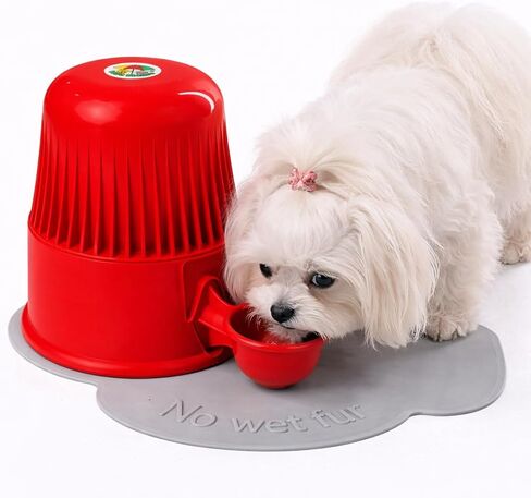 Pet Water Dispenser for Dogs and Cats, 67.6 oz – Gravity-Fed Water Bowl for Clean Drinking, Prevents Wet Fur, BPA-Free Polypropylene, (Clear) in Saudi Arabia