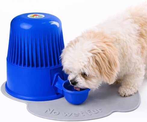 Pet Water Dispenser for Dogs and Cats, 67.6 oz – Gravity-Fed Water Bowl for Clean Drinking, Prevents Wet Fur, BPA-Free Polypropylene, (Clear) in Saudi Arabia