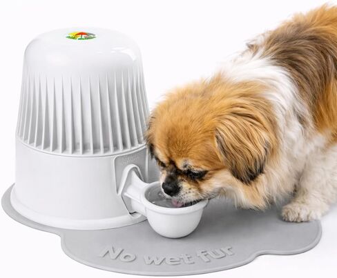 Pet Water Dispenser for Dogs and Cats, 67.6 oz – Gravity-Fed Water Bowl for Clean Drinking, Prevents Wet Fur, BPA-Free Polypropylene, (Clear) in Saudi Arabia