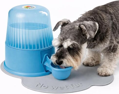 Pet Water Dispenser for Dogs and Cats, 67.6 oz – Gravity-Fed Water Bowl for Clean Drinking, Prevents Wet Fur, BPA-Free Polypropylene, (Clear) in Saudi Arabia