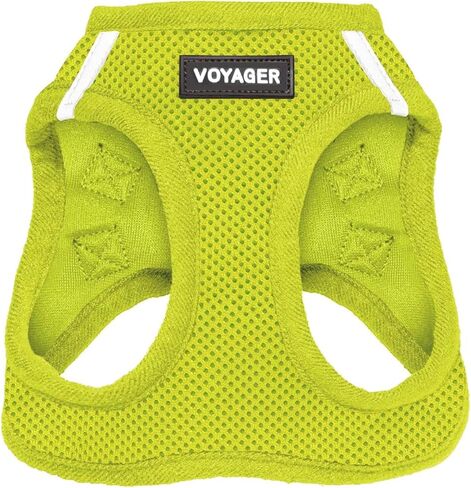 أفضل أدوات الحيوانات الأليفة Voyager Step-in Air Harness - شبكة لجميع الأحوال الجوية، عاكسة، لا يوجد حزام سحب للكلاب والقطط - آمن مع مشبك وحلقة تثبيت، مشبك، حلقات مزدوجة على شكل حرف D - أخضر ليموني، XS in Kuwait
