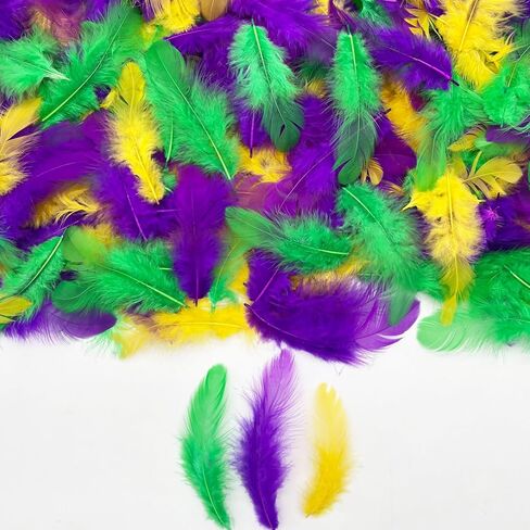 500PCS Small Craft Feathers Mardi Gras Assorted Colors 3-5Inch Purple Green Yellow Gold Rooster Feathers for Birthday Party Decoration Balloons Ornaments Dream Catchers Kindergarten Crafting in Saudi Arabia