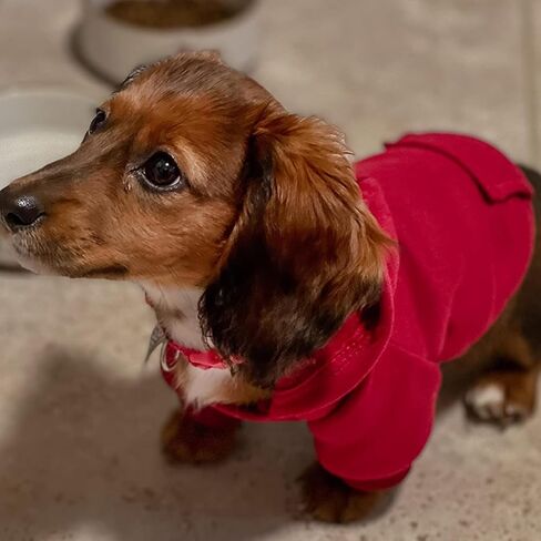 Winter Dog Hoodie Sweatshirts with Pockets and Hat Warm Dog Clothes for Small Dogs Coat Clothing Puppy Cat Custume (Small Wine Red) in Saudi Arabia