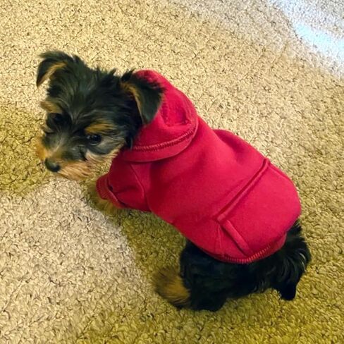 Winter Dog Hoodie Sweatshirts with Pockets and Hat Warm Dog Clothes for Small Dogs Coat Clothing Puppy Cat Custume (Small Wine Red) in Saudi Arabia