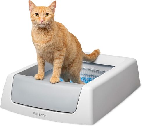 PetSafe ScoopFree Crystal Classic نظام صندوق فضلات القطط ذاتي التنظيف صندوق فضلات القطط التلقائي - تحكم متقدم في الرائحة يتضمن صينية فضلات كريستالية يمكن التخلص منها حتى 30 يومًا من التنظيف بدون استخدام اليدين in Saudi Arabia