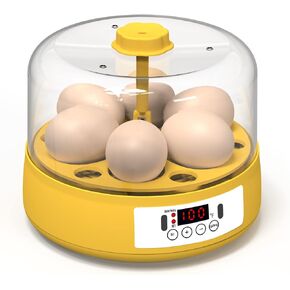 حاضنة البيض HOWUXZO لتفريخ البيض، 6 بيضات حاضنة أوتوماتيكية كاملة، شمع البيض، حاضنة التحكم في درجة الحرارة والرطوبة لتفريخ الدجاج والبط والطيور والمزيد in Kuwait