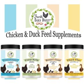 Fresh Eggs Daily Chicken and Duck Natural Feed Supplement Sampler 4-Pack Includes 12 oz. Poultry Probiotics Organic Coop Kelp Brewers Yeast with Garlic Flock Flax