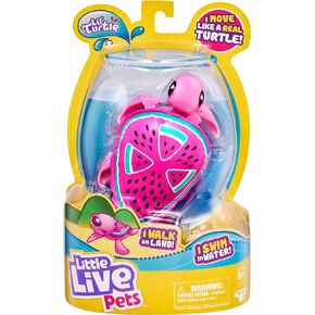 Little Live Pets 26204 Turtle-Styles May Vary