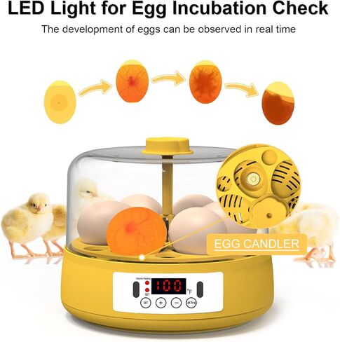حاضنة البيض HOWUXZO لتفريخ البيض، 6 بيضات حاضنة أوتوماتيكية كاملة، شمع البيض، حاضنة التحكم في درجة الحرارة والرطوبة لتفريخ الدجاج والبط والطيور والمزيد in Kuwait