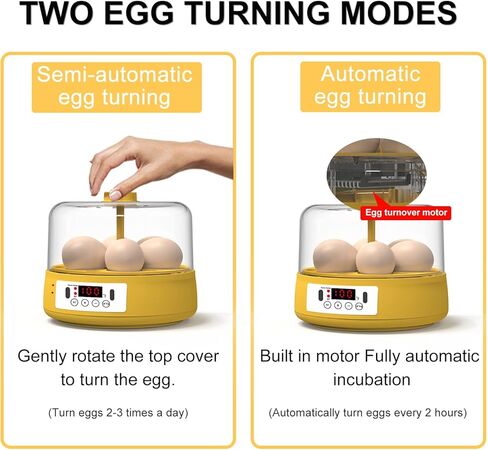 حاضنة البيض HOWUXZO لتفريخ البيض، 6 بيضات حاضنة أوتوماتيكية كاملة، شمع البيض، حاضنة التحكم في درجة الحرارة والرطوبة لتفريخ الدجاج والبط والطيور والمزيد in Kuwait