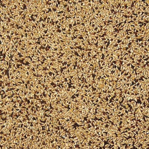 Kaytee Supreme Canary & Finch Food 2lb in Saudi Arabia