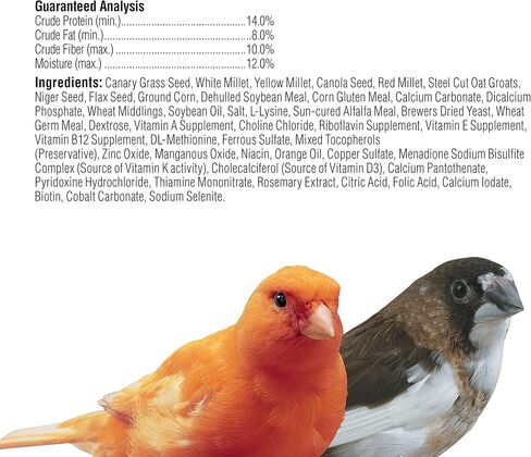 Kaytee Supreme Canary & Finch Food 2lb in Saudi Arabia
