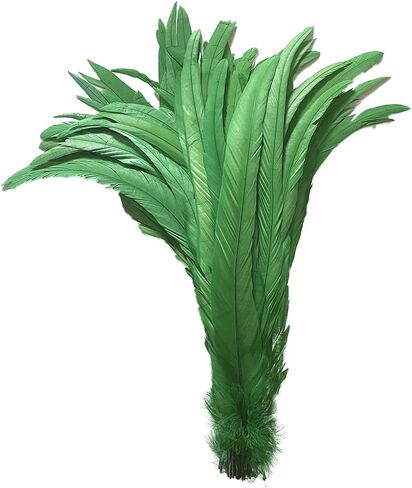20 PCS 14-16 inch Natural Rooster CoqueTail Feathers for Stage Performance and Costume Decoration, Halloween Carnival (Dark Green) in Saudi Arabia