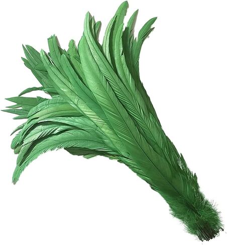 20 PCS 14-16 inch Natural Rooster CoqueTail Feathers for Stage Performance and Costume Decoration, Halloween Carnival (Dark Green) in Saudi Arabia