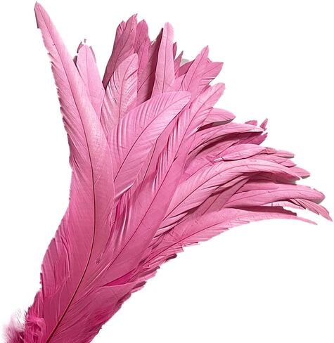 20 PCS 14-16 inch Natural Rooster CoqueTail Feathers for Stage Performance and Costume Decoration, Halloween Carnival (Dark Green) in Saudi Arabia