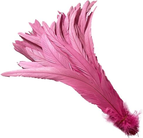 20 PCS 14-16 inch Natural Rooster CoqueTail Feathers for Stage Performance and Costume Decoration, Halloween Carnival (Dark Green) in Saudi Arabia