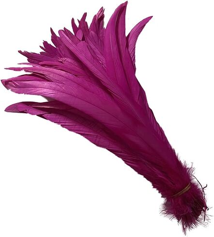 20 PCS 14-16 inch Natural Rooster CoqueTail Feathers for Stage Performance and Costume Decoration, Halloween Carnival (Dark Green) in Saudi Arabia