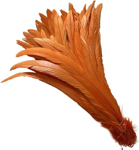 20 PCS 14-16 inch Natural Rooster CoqueTail Feathers for Stage Performance and Costume Decoration, Halloween Carnival (Dark Green) in Saudi Arabia