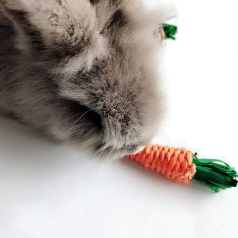 Hamiledyi Pet Fun Bunny Chew Toy Rattan Grass Scratcher Rabbit Enrichment Toy Climbing Play Carrot Digging Toys for Bunnies Rabbits Guinea Pigs Parrots Ferret Hedgehog Squirrel and Other Rodents in Saudi Arabia